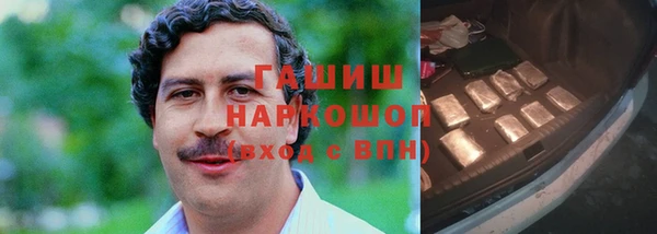молекула духа Кулебаки