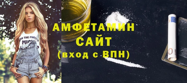 молекула духа Кулебаки