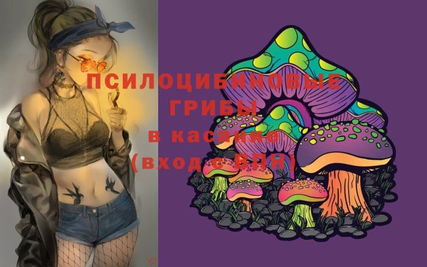 ALPHA PVP Кукмор